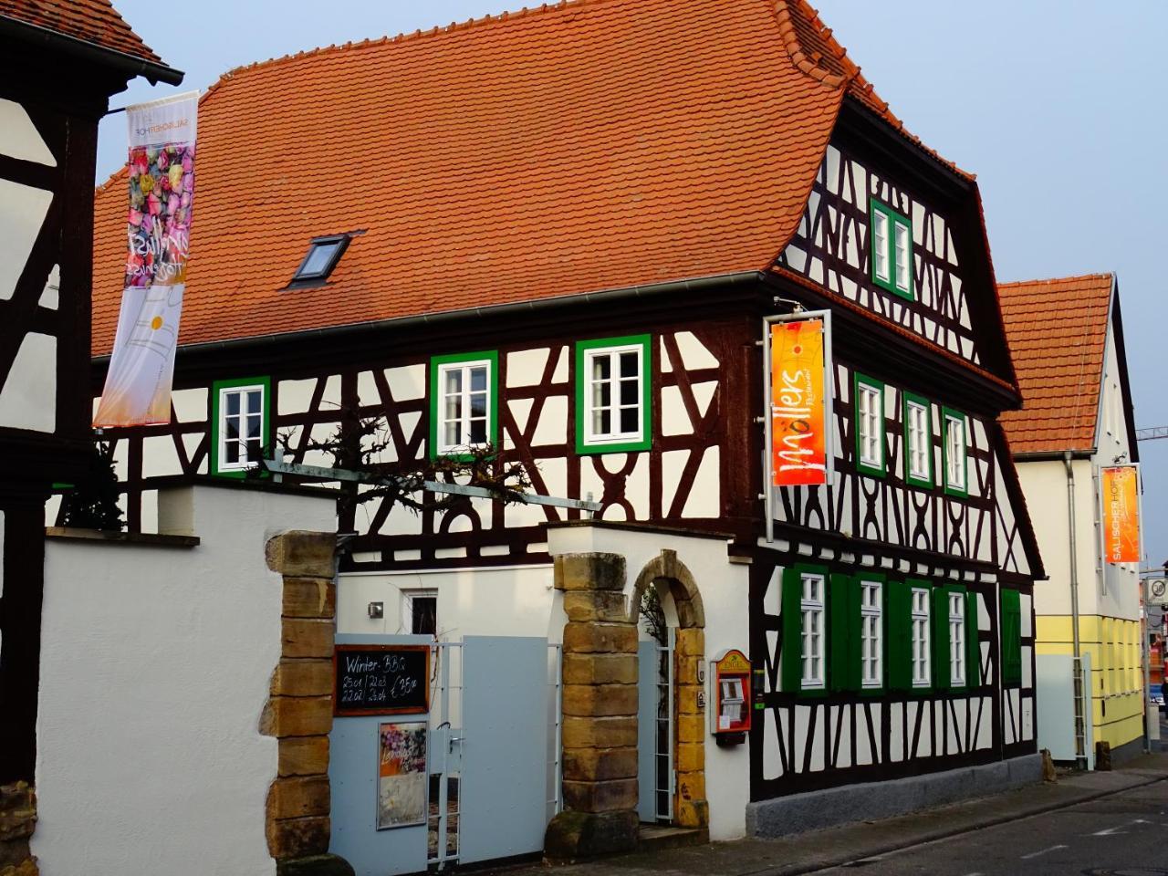 Salischer Hof Schifferstadt Ngoại thất bức ảnh